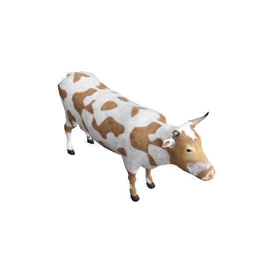 A cow
