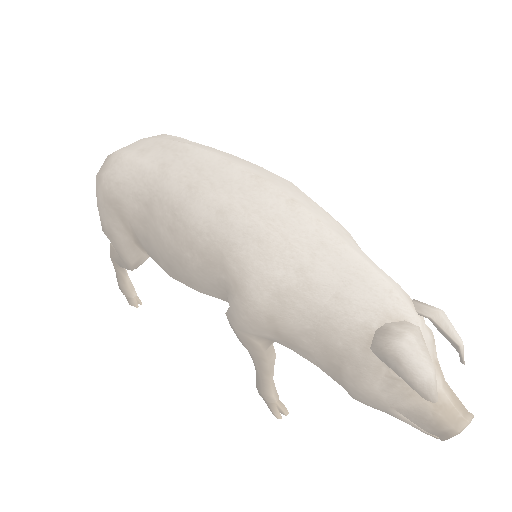 A pig